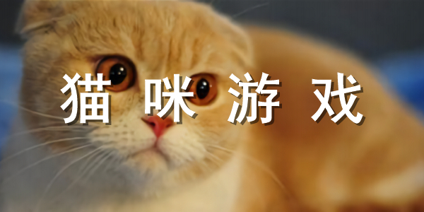 猫咪游戏合集